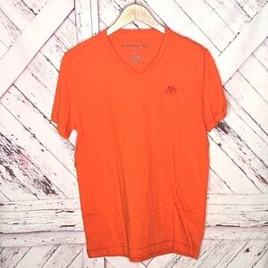 Aeropostale V-neck Tee